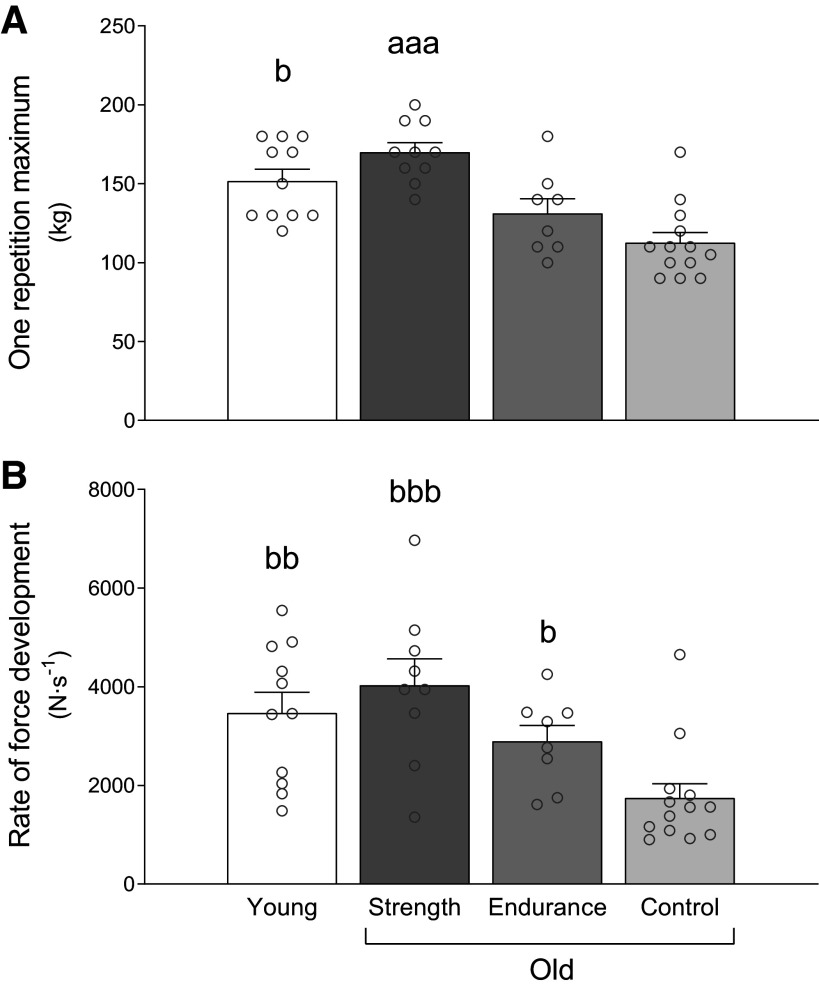 This graph depicts results from a study that show that strength trained seniors were stronger and more explosive than active young adults.
